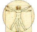 Vitruvius project site